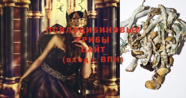 молекула духа Магас