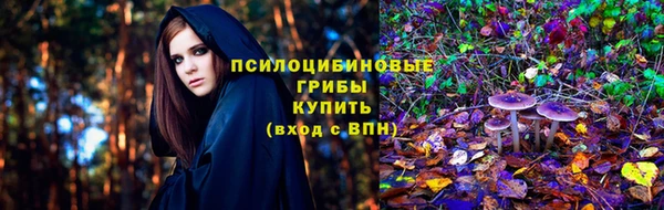 молекула духа Магас