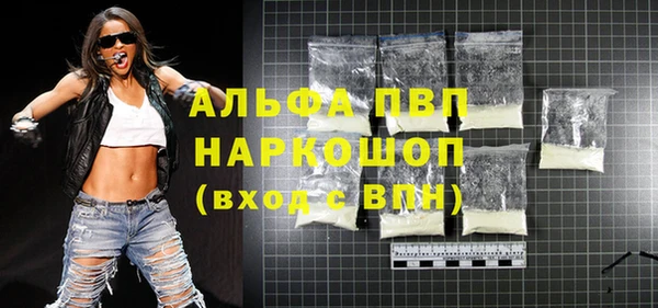 молекула духа Осташков