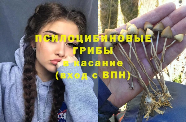 молекула духа Магас