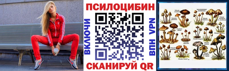 Псилоцибиновые грибы Psilocybe  Железногорск 
