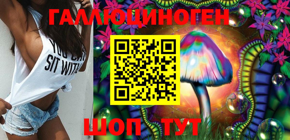 Псилоцибиновые грибы Psilocybine cubensis  Железногорск 