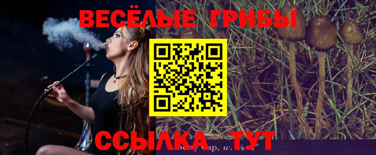 Железногорск  Галлюциногенные грибы Psilocybine cubensis  купить наркотик  Вход с VPN 