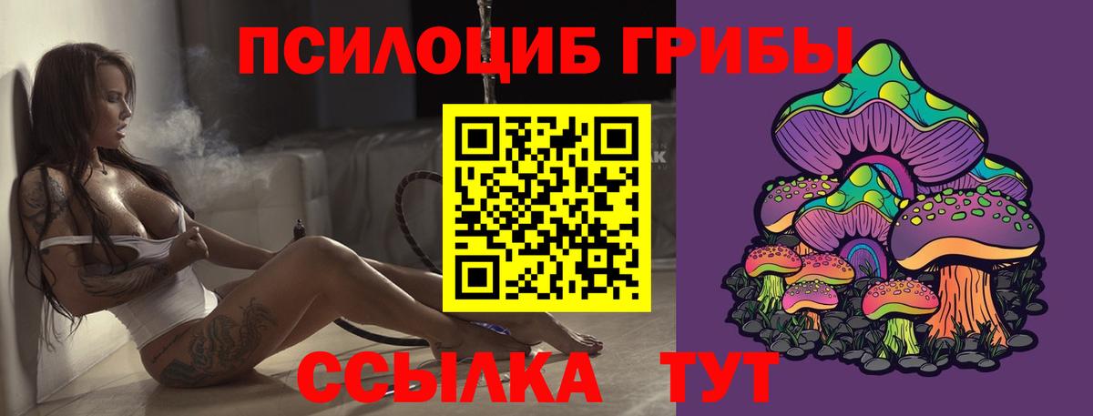Псилоцибиновые грибы прущие грибы Железногорск