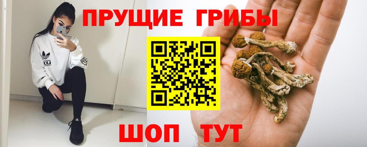 Железногорск  Бошки Шишки  МЕФ  Вход с VPN  Ляпка  Хэш  Кокаин  A PVP 